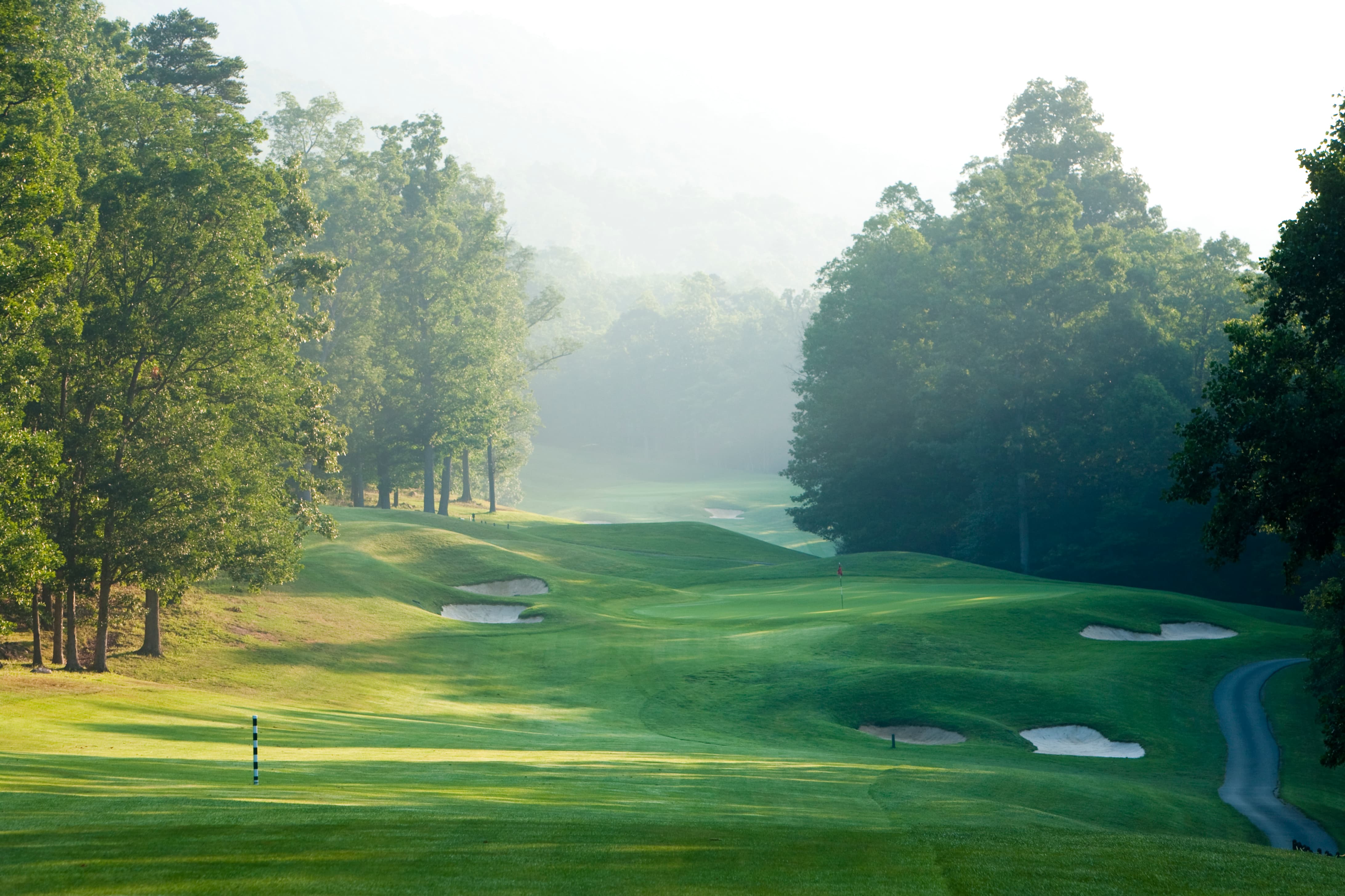 Created using the generic media from seeder