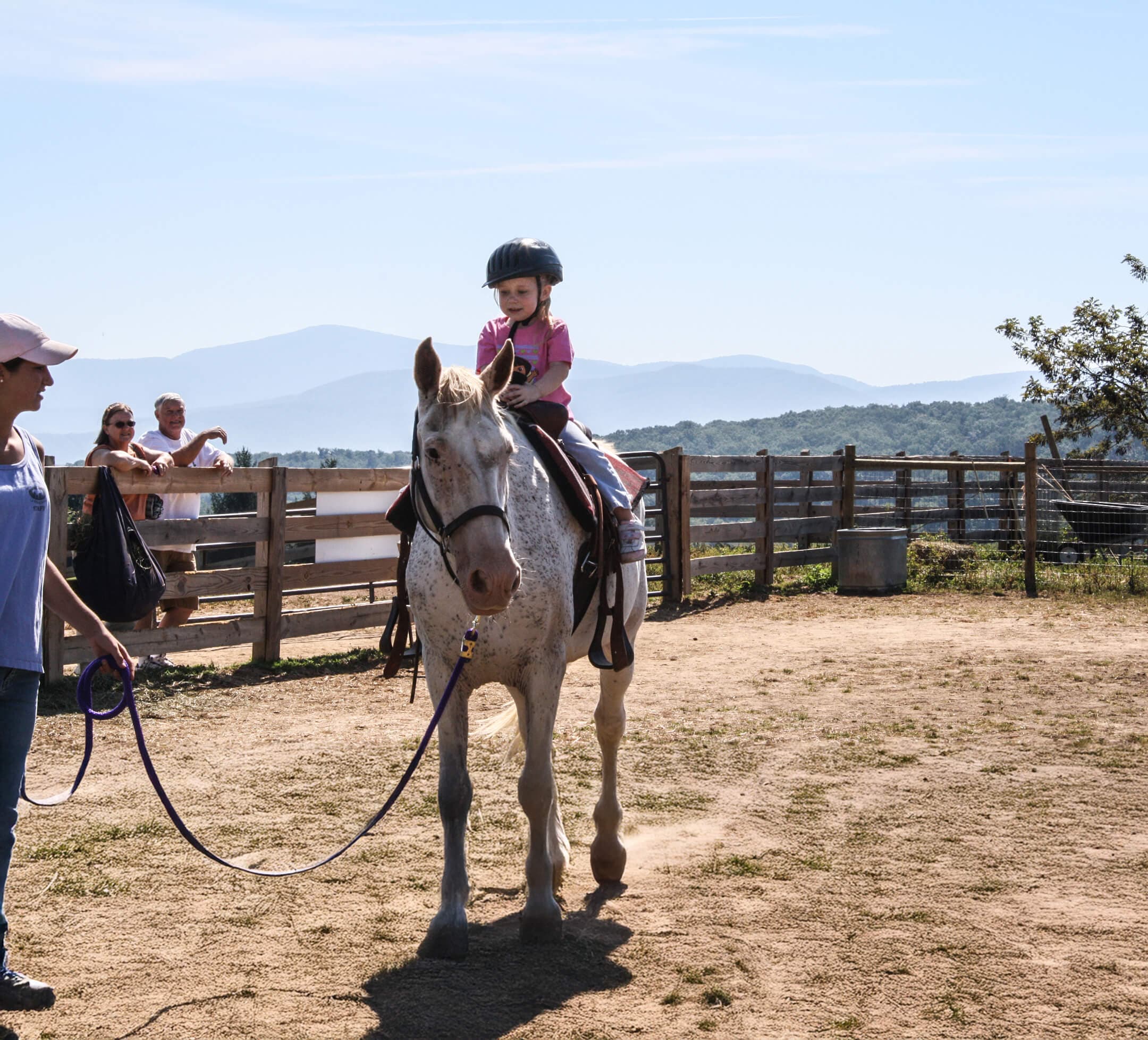 Created using the generic media from seeder