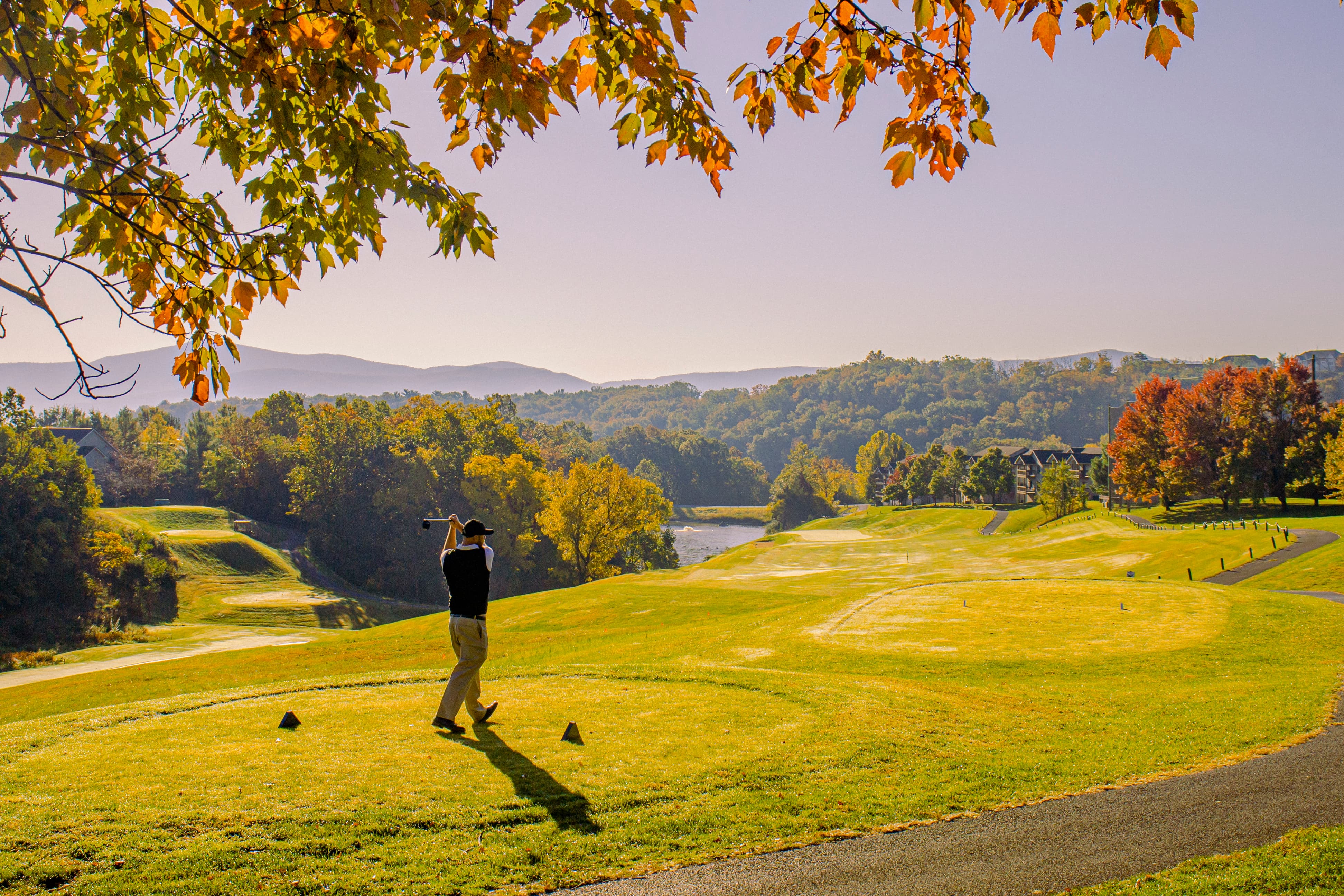 Created using the generic media from seeder