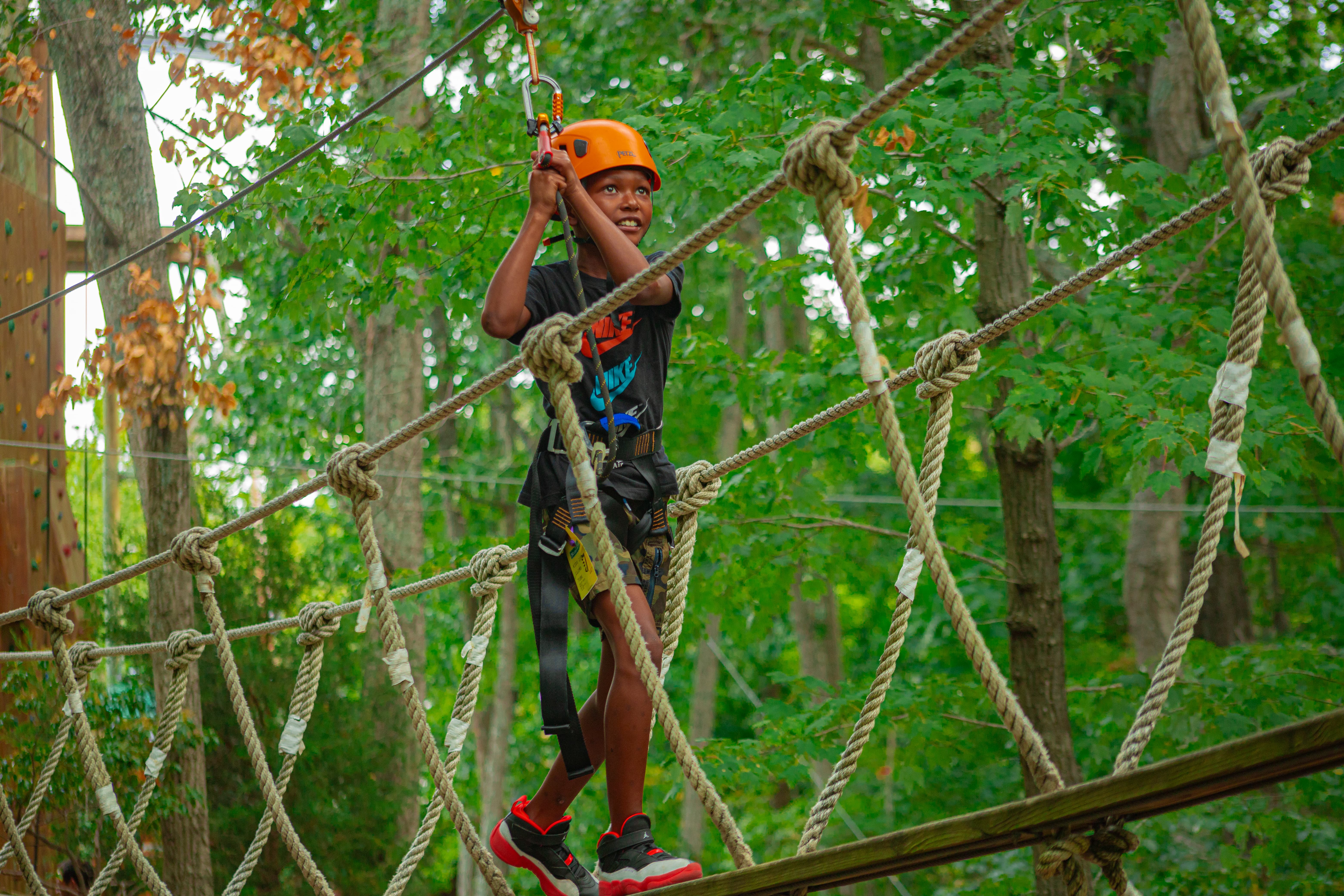 Created using the generic media from seeder